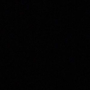 Meet your Posher, Leonor